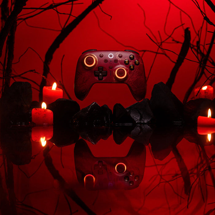 8BitDo Ultimate 2 Wireless Controller - WUCHANG: Fallen Feathers image 4