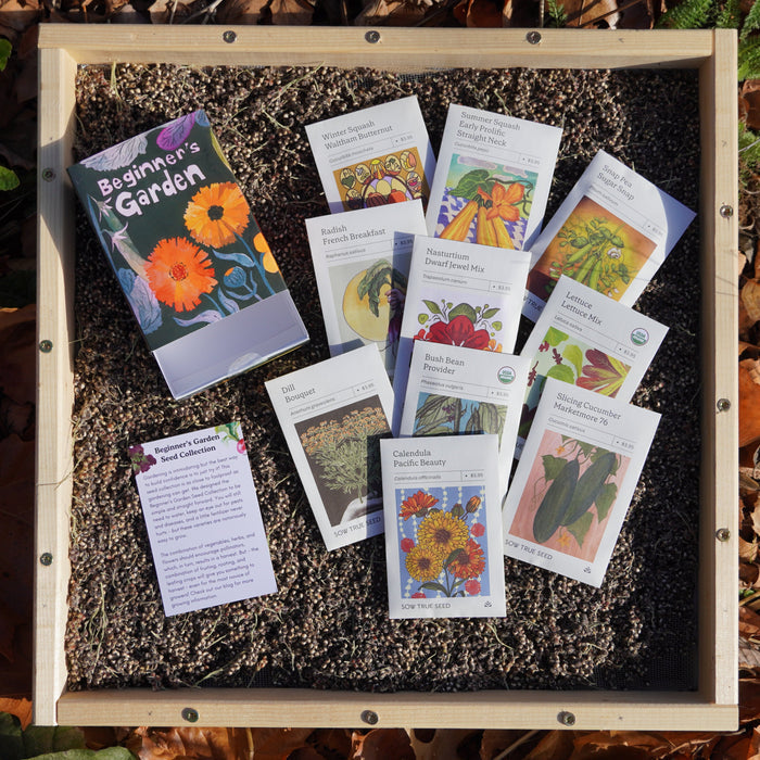 Beginner's Garden Seed Collection Box - Sow True Seed