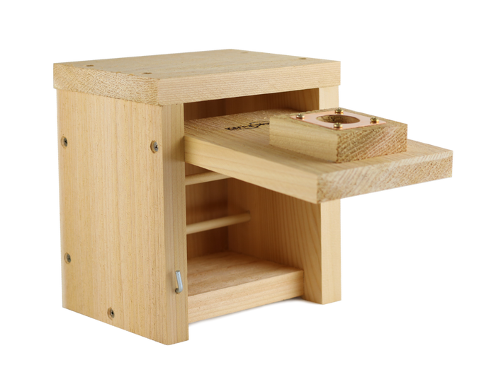 Front panel of a small cedar roosting box is open with two perches on the inside