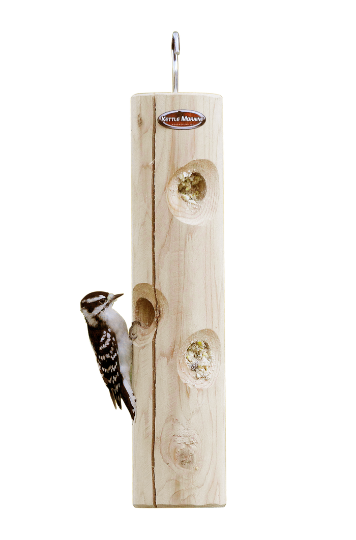 Downy woodpecker eating on cedar log feeder filled with suet plugs. Features a silver hook for hanging.