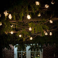Classic Festoon 20 Bulbs outdoor string lights with warm glow and easy hanging loops