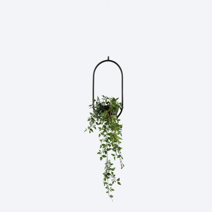 About Space Lighting Evora 1 Planter Frame Pendant