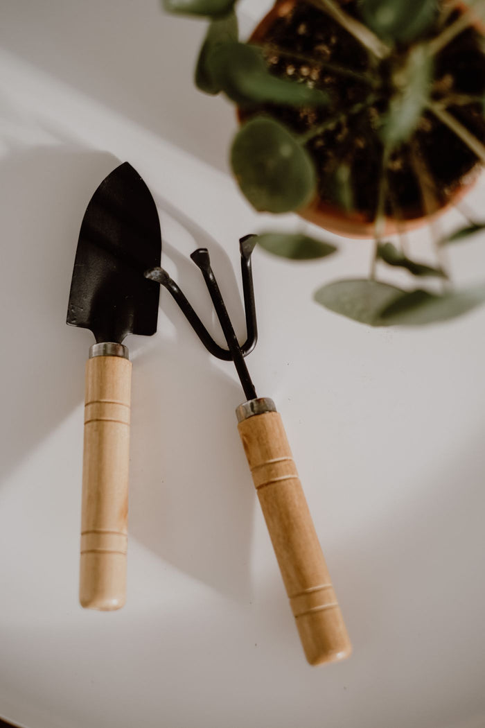Two-piece garden hand tool set with wood handles beside a potted plant