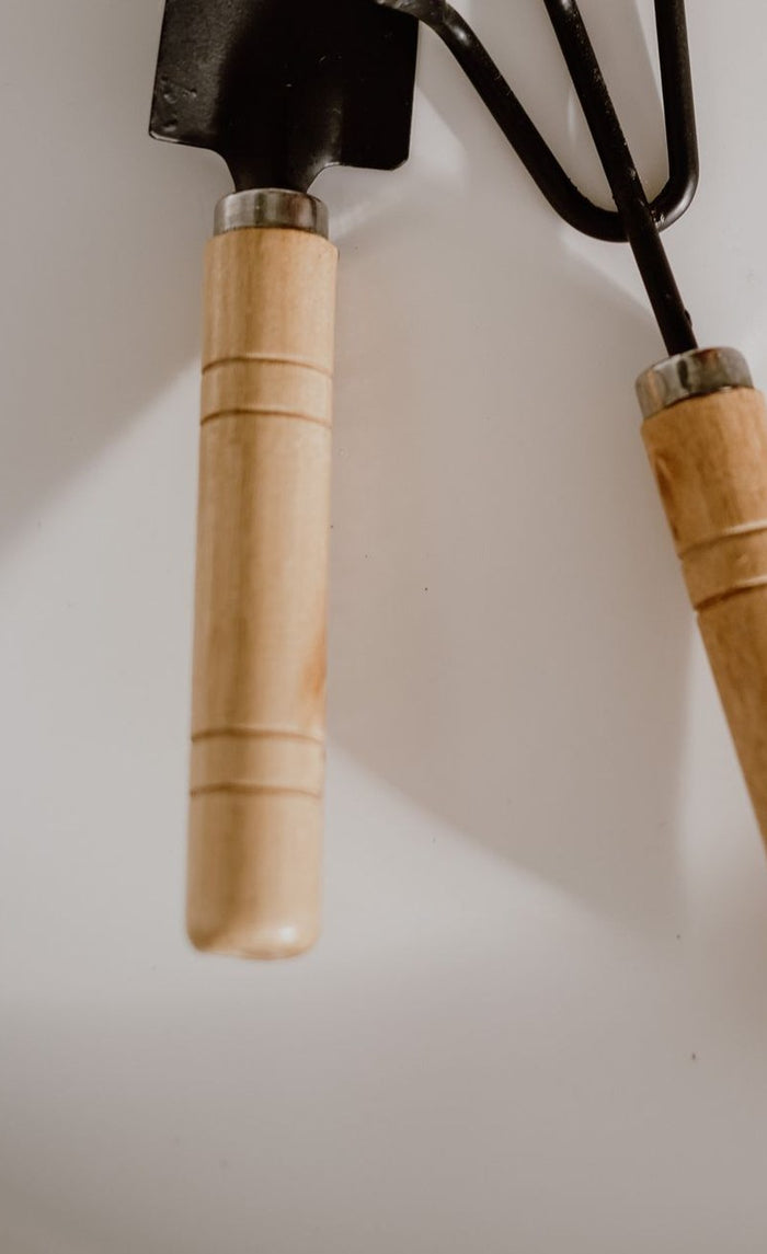 Close view of the trowel and hand fork heads with wood handles