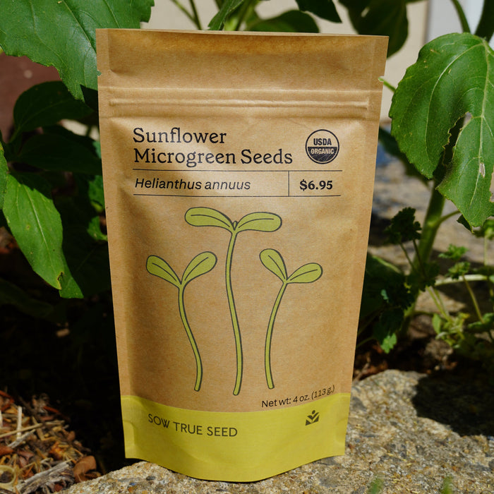 Microgreen Seed - Sunflower, ORGANIC - Sow True Seed