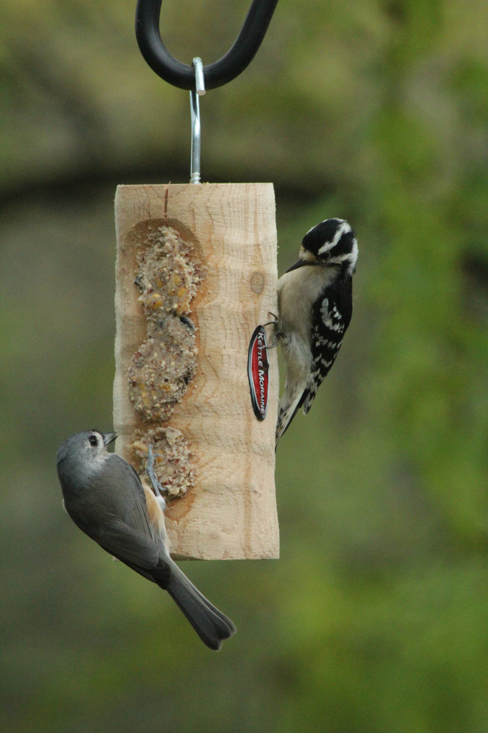 Two bird eat from mini suet log feeder with three holes. It hangs from a silver hook in front of greenery.