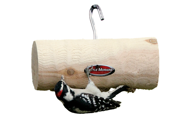Male downy woodpecker upside down on mini cedar suet log feeder that hangs from a silver hook