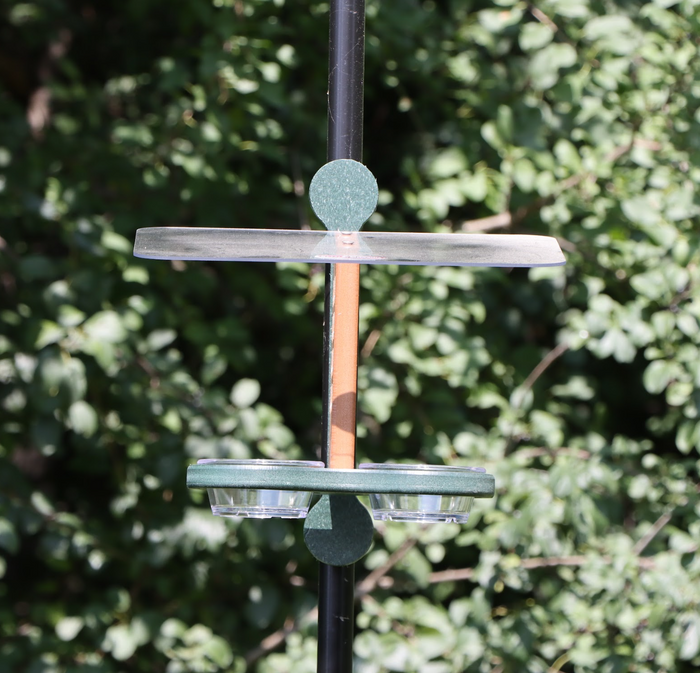 Straight on view of a bird feeder clipped to a black pole featuring a brown center, a green mounting bracket and base, black plastic clips, a clear roof, and two small clear bowls, set against a background of green foliage.