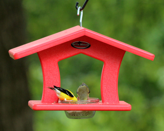 Finches eating from a red recycled plastic single cup feeder. Feeder has a large roof over a single glass dish. Hangs from silver hook.