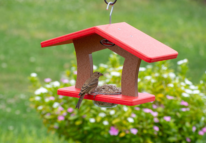 House finch eats seed from a red and brown recycled plastic single cup feeder. Feeder has a large roof over a single glass dish. Hangs from silver hook.