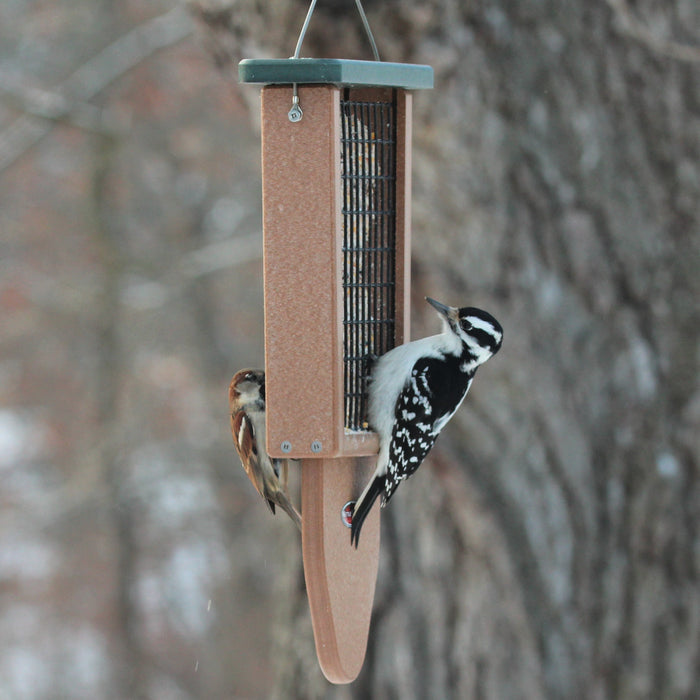 Two birds on hanging brown recycled plastic feeder with a tail prop. Features a green roof and black wire siding. Designed for two suet blocks