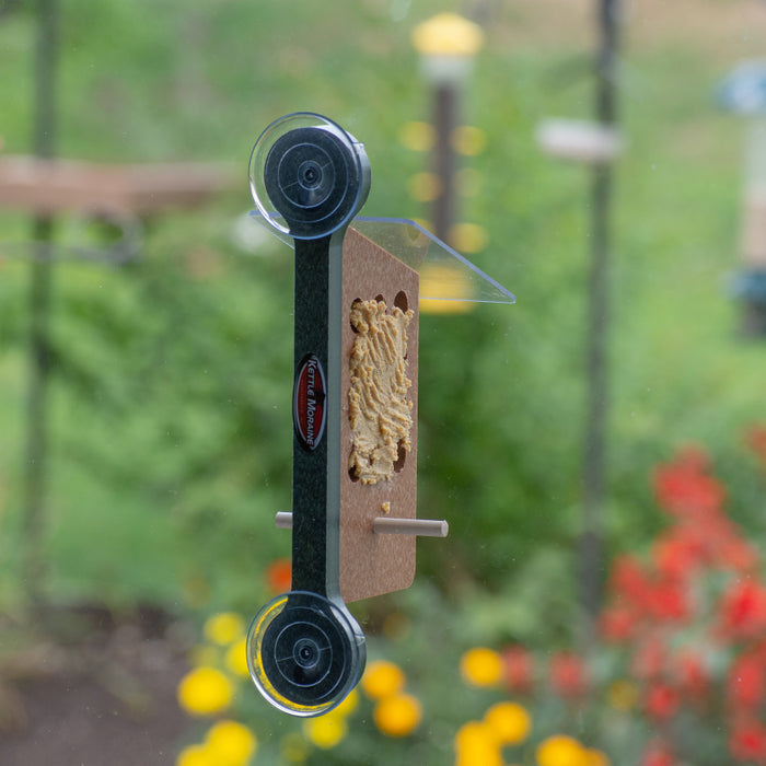 View from inside the window of a brown and green window mounted suet feeder with a clear roof and wooden perch.