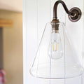 Rye Clear Glass Wall Light with medium handblown glass shade and swan neck finish