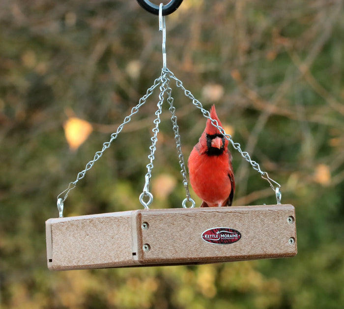 A small brown recycled tray feeder with a perforated aluminum tray and a male cardinal sitting on it, surrounded by trees and hanging by silver chains.