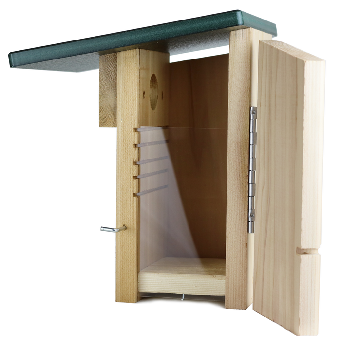 A wooden bluebird nest box with a green roof and a clear acrylic viewing window inside a hinged side panel.
