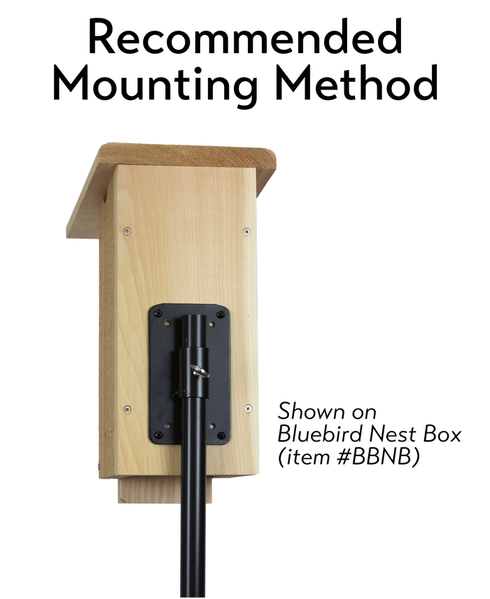 Recommended mounting method of a bluebird nest box using a back bracket and pole system.