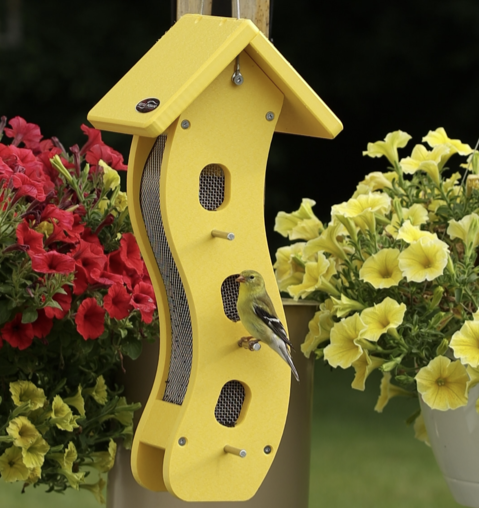 Bird perched on feeder with curved design and peaked roof. 3 feeding holes with small perches on two sides. Other sides are  fully silver metal mesh.