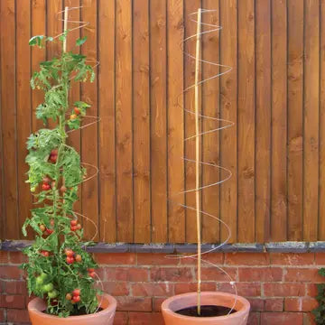 Twisters - Sow True Seed