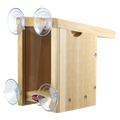 Inside view of a cedar bird nest box with clear plexiglass viewing window and four suction cups for mounting to a window.