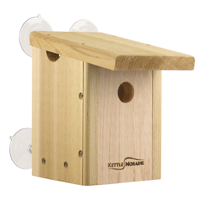 Outside view of a cedar bird nest box with clear plexiglass viewing window and four suction cups for mounting to a window.