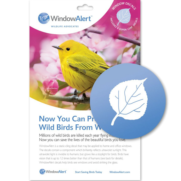 Packaging of WindowAlert window decals featuring a yellow bird on flowers, with a white aspen-leaf-shaped decal inset.